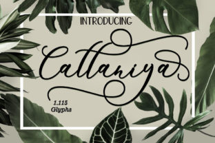 Cattaniya Font: Handmade Script for Web Design