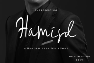 Hamisd Font Review for Modern Web Design