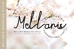 Mellanis Font Review for Web Design and Digital Branding