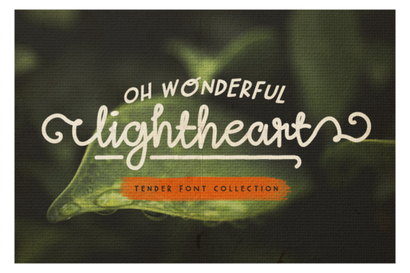 Oh Wonderful Lightheart Font for Editorial Design