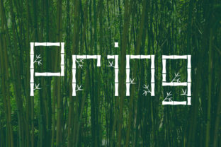 Pring Font: Adding Natural Flow to Campaign Visuals