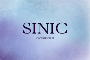 Sinic Font Review: A Cool Serif for Web Design