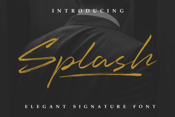 Splash Font: Adding Organic Elegance to Brand Identity